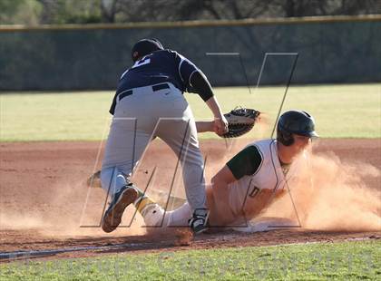 Thumbnail 1 in Sahuaro @ Canyon del Oro photogallery.
