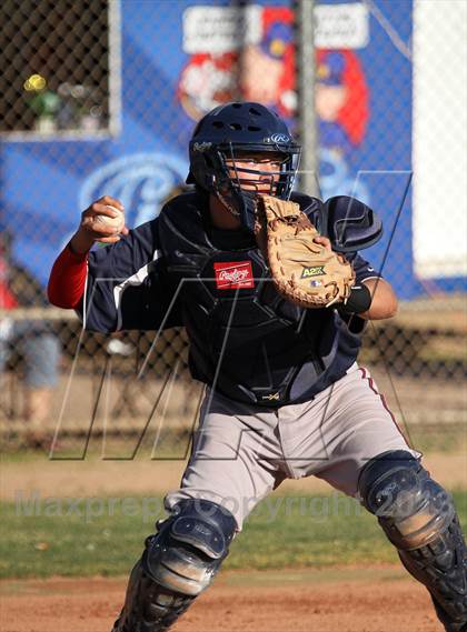 Thumbnail 1 in Sahuaro @ Canyon del Oro photogallery.