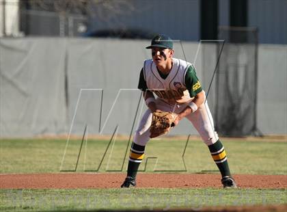 Thumbnail 2 in Sahuaro @ Canyon del Oro photogallery.