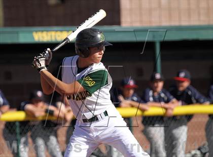 Thumbnail 2 in Sahuaro @ Canyon del Oro photogallery.
