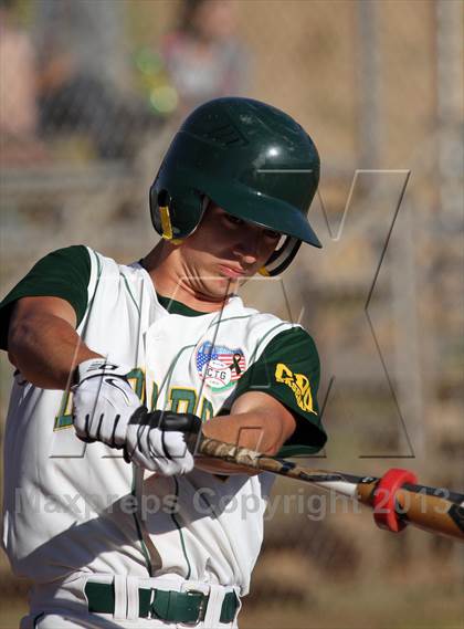 Thumbnail 1 in Sahuaro @ Canyon del Oro photogallery.