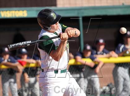 Thumbnail 3 in Sahuaro @ Canyon del Oro photogallery.