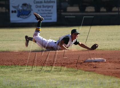Thumbnail 3 in Sahuaro @ Canyon del Oro photogallery.