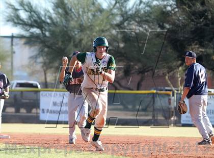 Thumbnail 2 in Sahuaro @ Canyon del Oro photogallery.