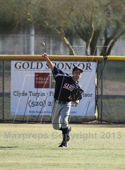 Thumbnail 1 in Sahuaro @ Canyon del Oro photogallery.