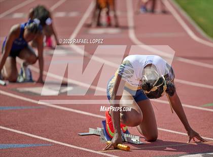 Thumbnail 1 in Panther Relays (4x100M) photogallery.
