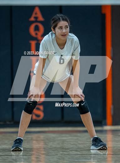 null - Photo 01