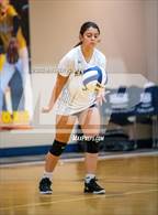 Photo from the gallery "Greenfield @ Northwood Temple Academy"