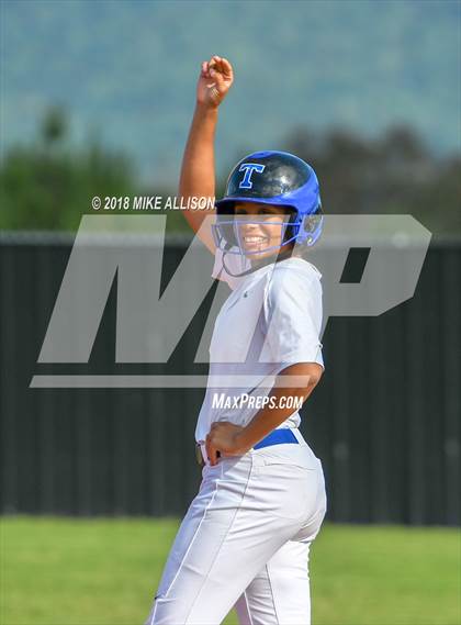 Thumbnail 2 in Wilcox County @ Trion (Game 2) photogallery.