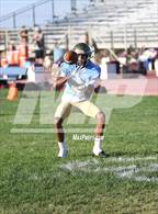 Photo from the gallery "Hart @ Quartz Hill"