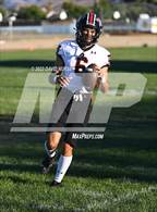 Photo from the gallery "Hart @ Quartz Hill"