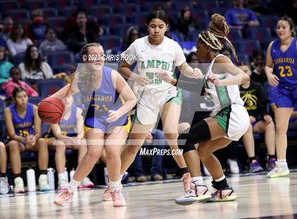 Thumbnail 3 in Sahuarita vs Amphitheater (MLK Basketball Classic) photogallery.