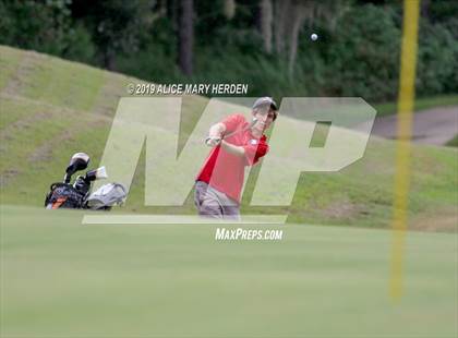 Thumbnail 2 in Weeki Wachee vs Hernando vs Springstead photogallery.