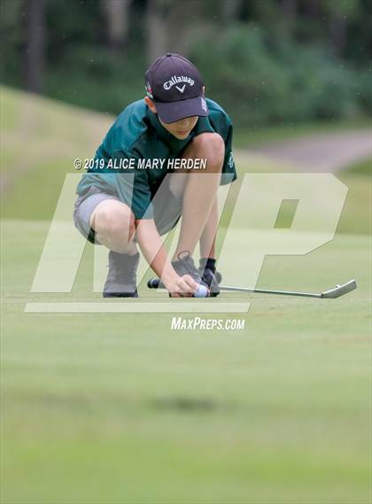 Thumbnail 1 in Weeki Wachee vs Hernando vs Springstead photogallery.