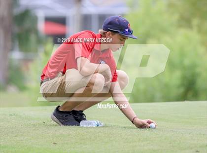 Thumbnail 2 in Weeki Wachee vs Hernando vs Springstead photogallery.