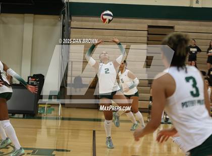 Thumbnail 2 in Sunnyvale @ Poteet photogallery.
