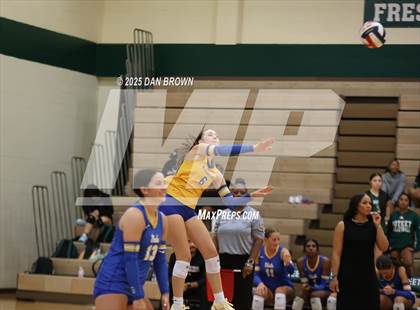 Thumbnail 3 in Sunnyvale @ Poteet photogallery.