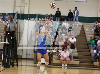 Thumbnail 3 in Sunnyvale @ Poteet photogallery.