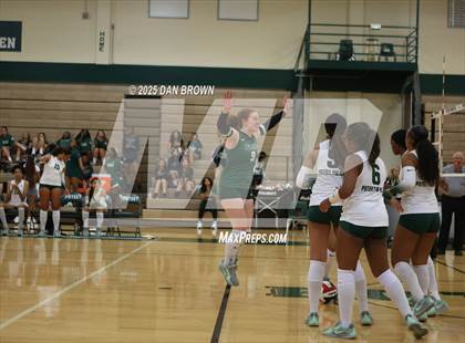 Thumbnail 1 in Sunnyvale @ Poteet photogallery.