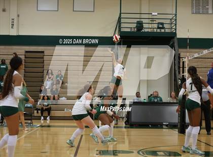 Thumbnail 3 in Sunnyvale @ Poteet photogallery.
