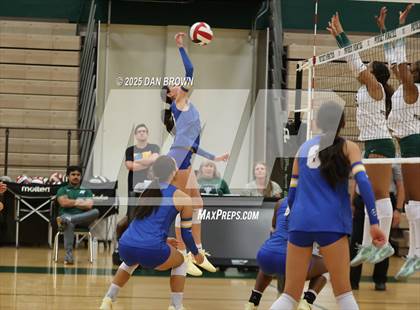 Thumbnail 2 in Sunnyvale @ Poteet photogallery.