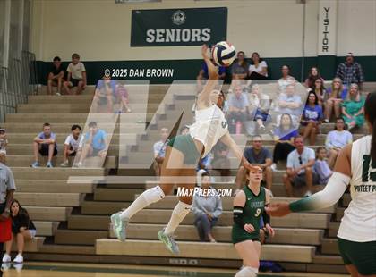 Thumbnail 3 in Sunnyvale @ Poteet photogallery.