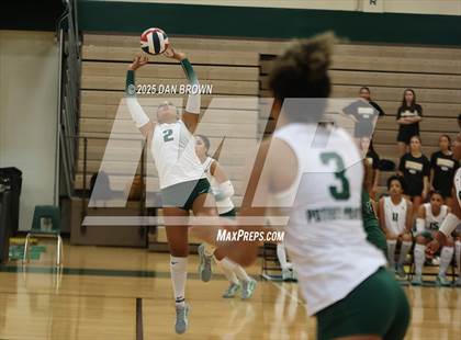 Thumbnail 3 in Sunnyvale @ Poteet photogallery.