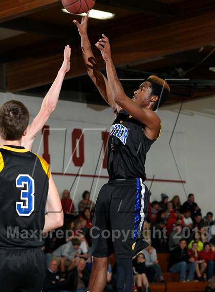 Thumbnail 3 in Sutter @ Winters photogallery.