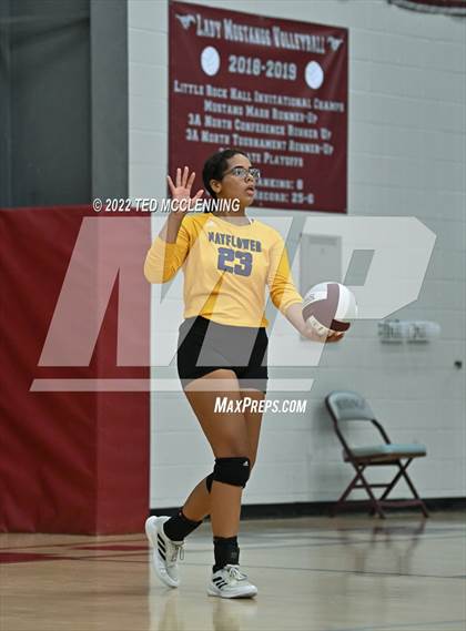 Thumbnail 2 in Mayflower @ Perryville photogallery.