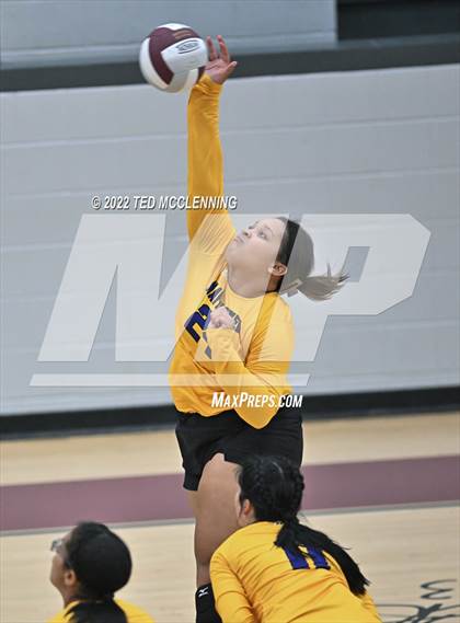 Thumbnail 1 in Mayflower @ Perryville photogallery.