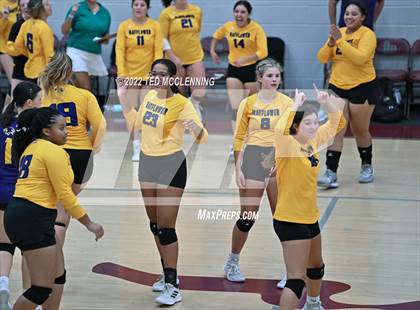 Thumbnail 1 in Mayflower @ Perryville photogallery.