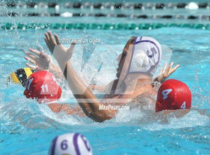 Thumbnail 3 in Woodbridge @ Righetti (Villa Park Classic) photogallery.