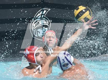 Thumbnail 3 in Woodbridge @ Righetti (Villa Park Classic) photogallery.