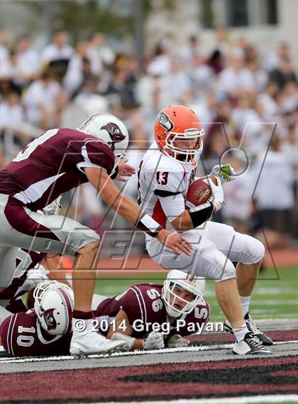Thumbnail 1 in Carey @ Mepham photogallery.