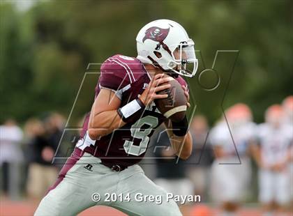 Thumbnail 1 in Carey @ Mepham photogallery.