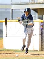 Photo from the gallery "Sumner @ Strawberry Crest (Saladino)"