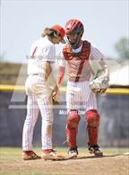 Photo from the gallery "Sumner @ Strawberry Crest (Saladino)"