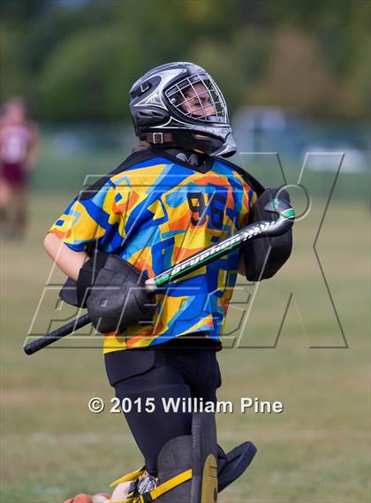 Thumbnail 2 in Kingston @ Pine Bush photogallery.