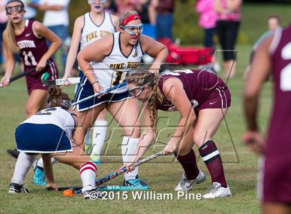 Thumbnail 2 in Kingston @ Pine Bush photogallery.