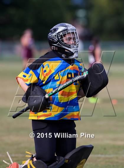 Thumbnail 3 in Kingston @ Pine Bush photogallery.
