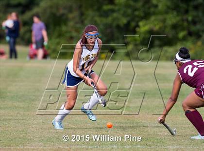 Thumbnail 1 in Kingston @ Pine Bush photogallery.