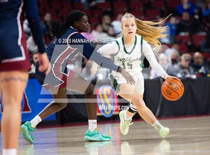Thumbnail 3 in Millard West vs. Lincoln North Star (NSAA Class A Semifinal) photogallery.