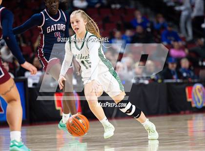 Thumbnail 2 in Millard West vs. Lincoln North Star (NSAA Class A Semifinal) photogallery.