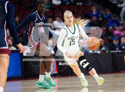Thumbnail 1 in Millard West vs. Lincoln North Star (NSAA Class A Semifinal) photogallery.