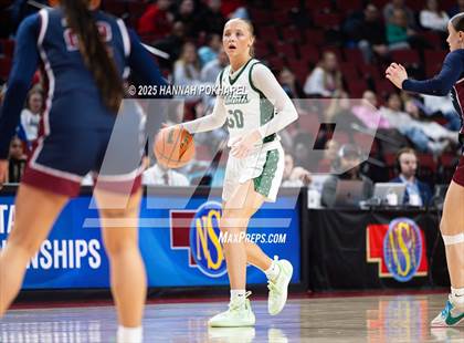 Thumbnail 1 in Millard West vs. Lincoln North Star (NSAA Class A Semifinal) photogallery.