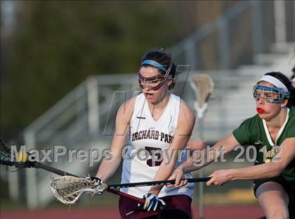 Thumbnail 1 in Williamsville North @ Orchard Park photogallery.