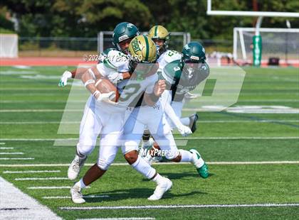 Thumbnail 1 in Longwood @ William Floyd photogallery.