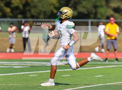 Thumbnail 1 in Longwood @ William Floyd photogallery.