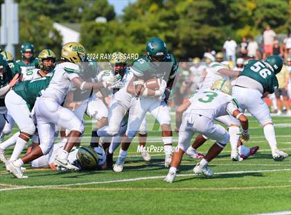 Thumbnail 1 in Longwood @ William Floyd photogallery.