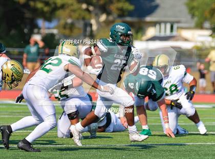 Thumbnail 1 in Longwood @ William Floyd photogallery.